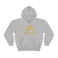 Wrestling Colorado with College Wrestling Graphic Hoodie