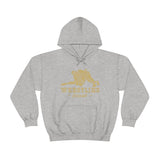 Wrestling Colorado with College Wrestling Graphic Hoodie