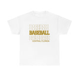 Baseball Central Florida in Modern Stacked Lettering