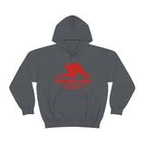 Wrestling Davenport with College Wrestling Graphic Hoodie