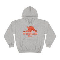 Wrestling Illinois with College Wrestling Graphic Hoodie
