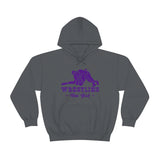 Wrestling New York with College Wrestling Graphic Hoodie