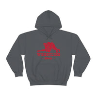 Wrestling Liberty with College Wrestling Graphic Hoodie
