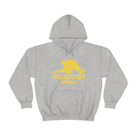 Wrestling Delaware with College Wrestling Graphic Hoodie