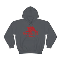 Wrestling Mom with College Wrestling Graphic Hoodie