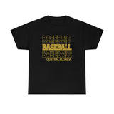 Baseball Central Florida in Modern Stacked Lettering